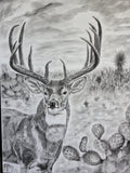 Heart of South Texas — charcoal drawing of a buck